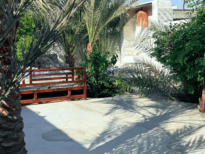 حیاط