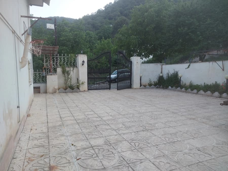حیاط
