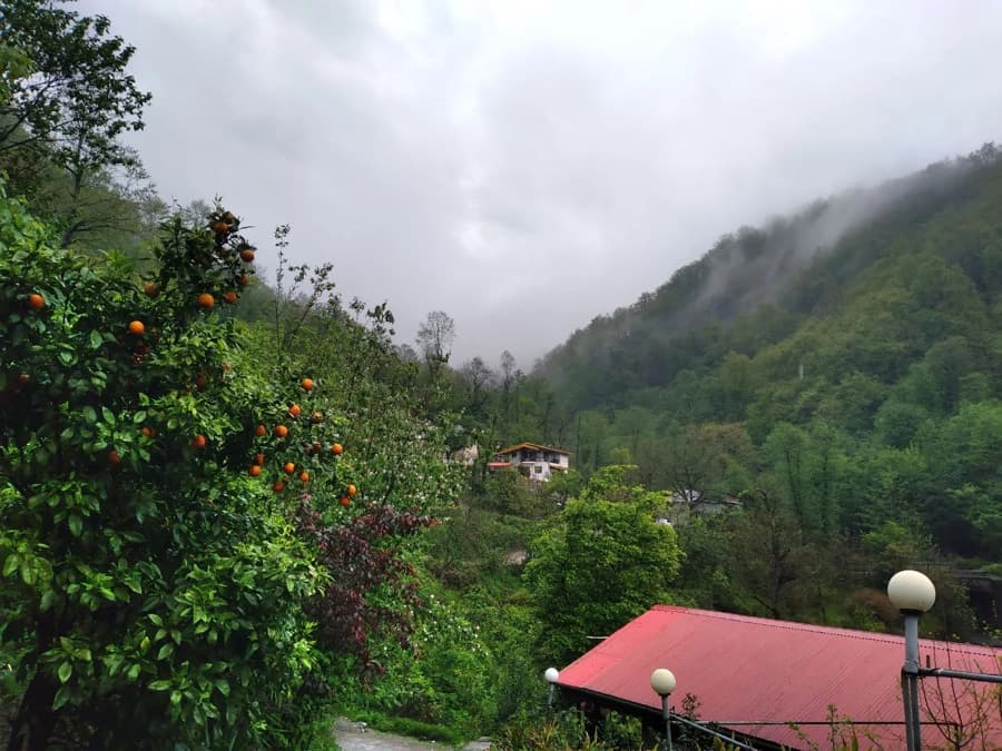 چشم انداز