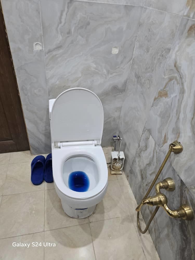 سرویس فرنگی