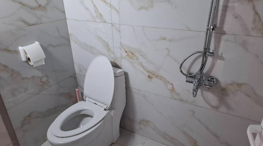 سرویس بهداشتی فرنگی