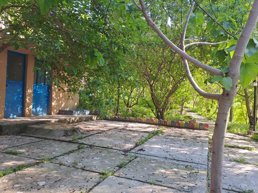 حیاط پشت باغ