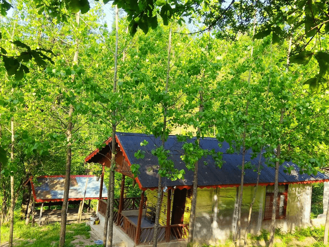 اجاره کلبه چوبی جنگلی در روستا دران شاندرمن - ماسال نما کلبه چوبی