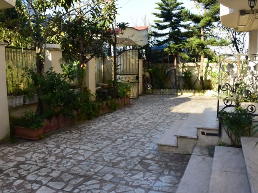 حیاط