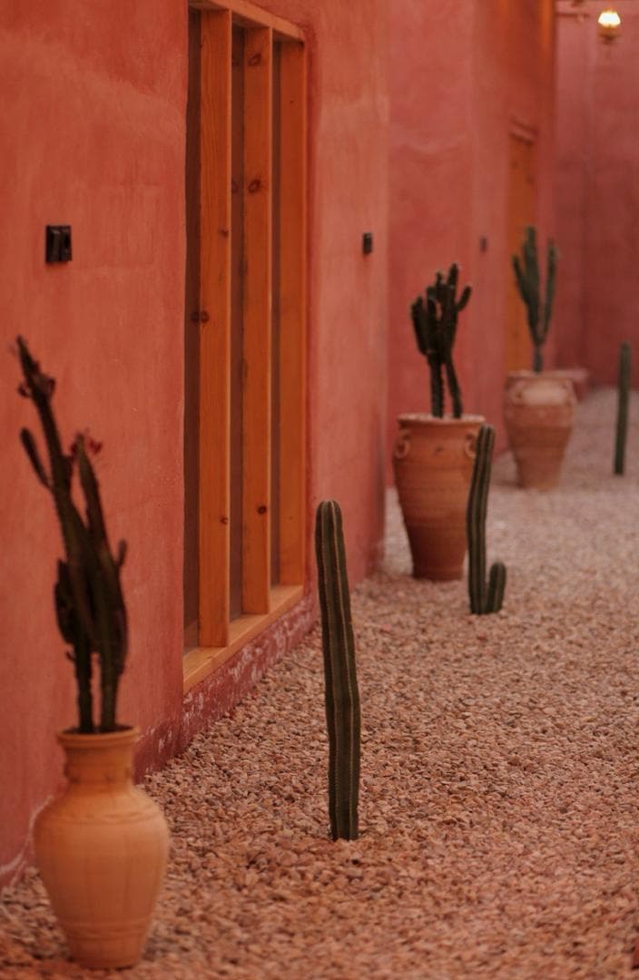 محوطه