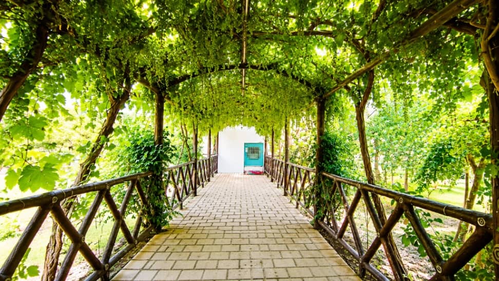 اجاره ویلا در کاشان