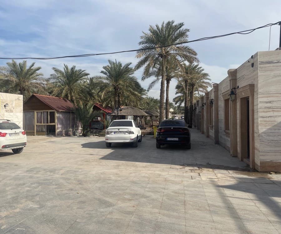 حیاط