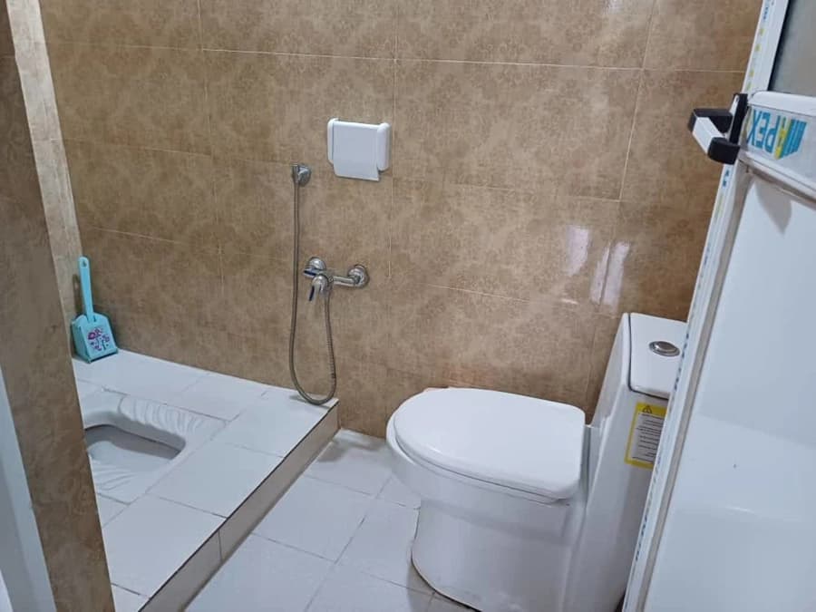 سرویس بهداشتی ایرانی و فرنگی