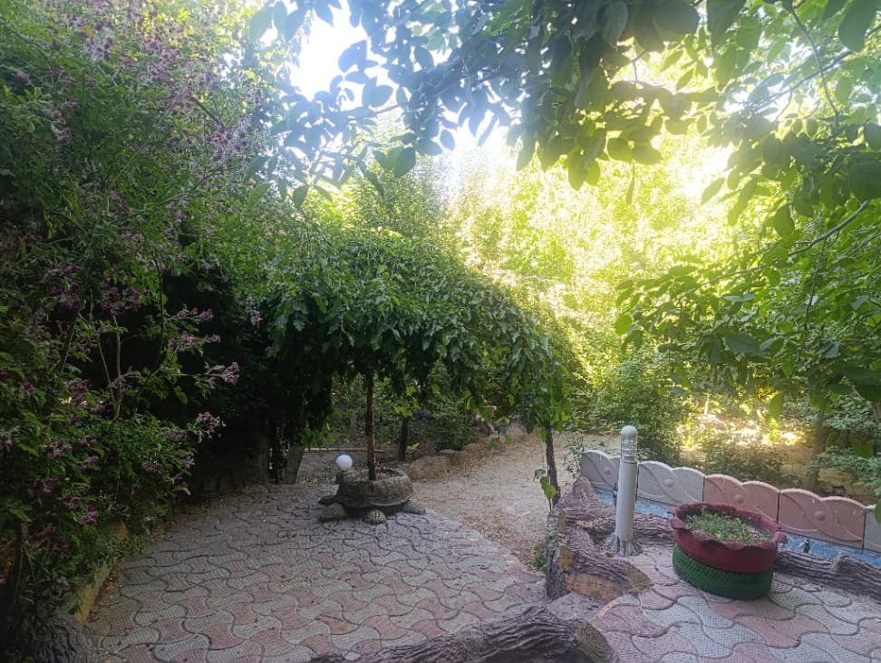 حیاط