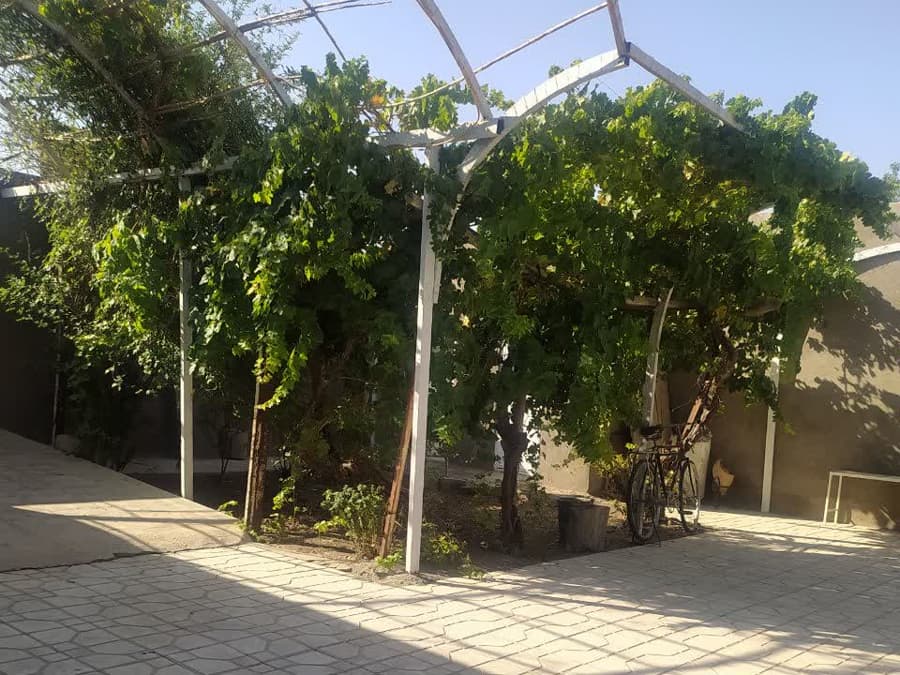 حیاط