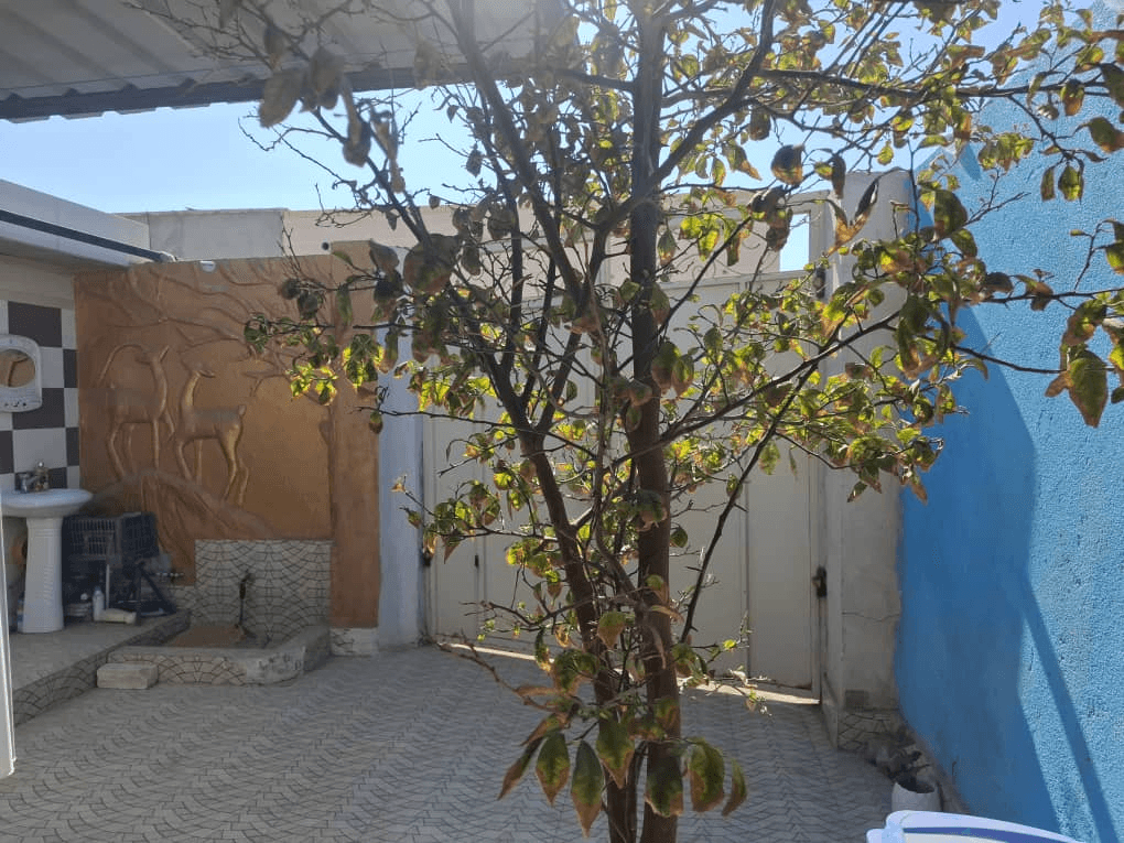 حیاط پایین اقامتگاه
