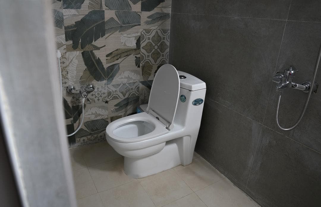 سرویس فرنگی