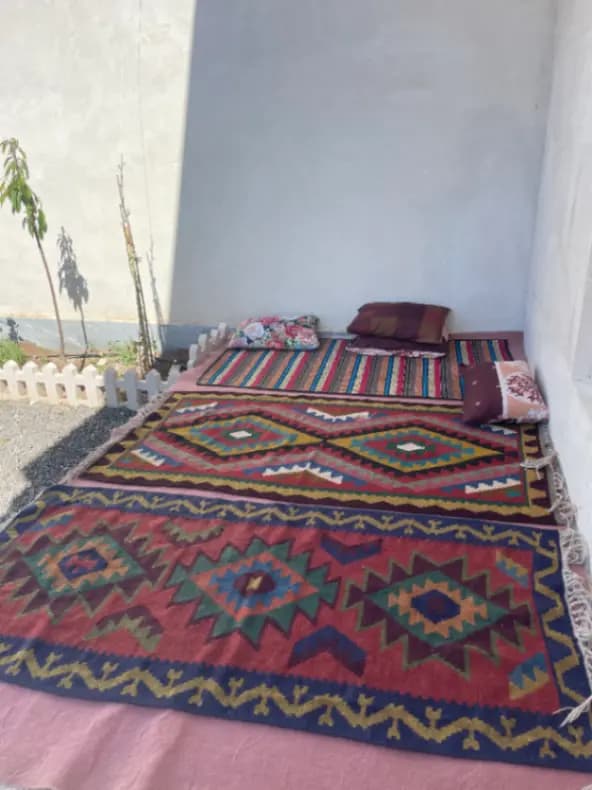 حیاط