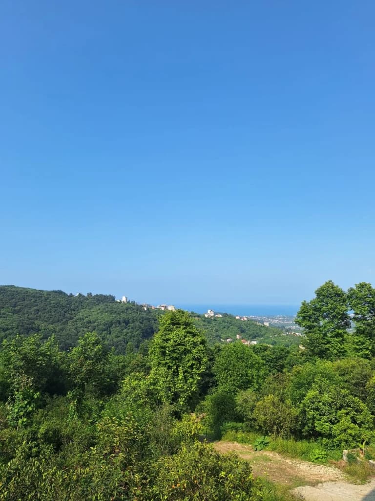 چشم انداز