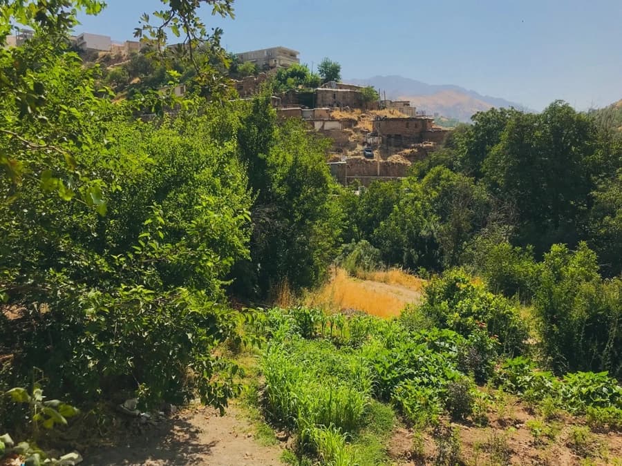 چشم انداز اطراف