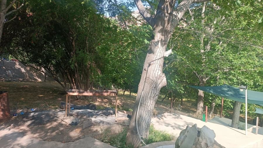 محوطه باغ
