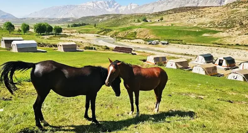 چشم انداز