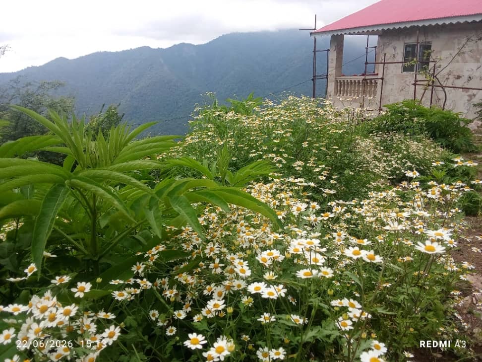ویلای گل یاس