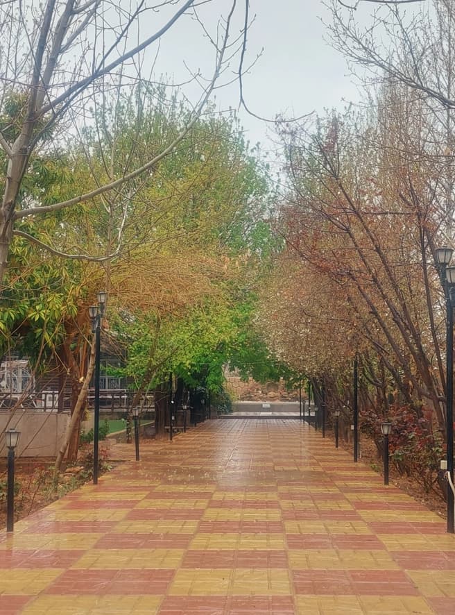 حیاط