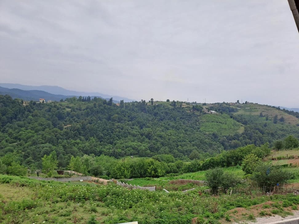 چشم انداز