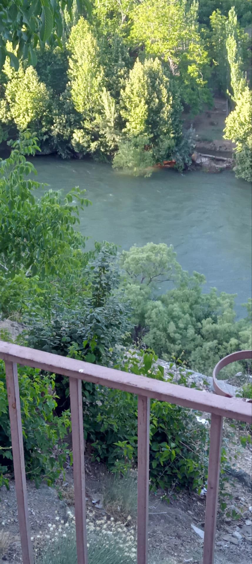 چشم انداز