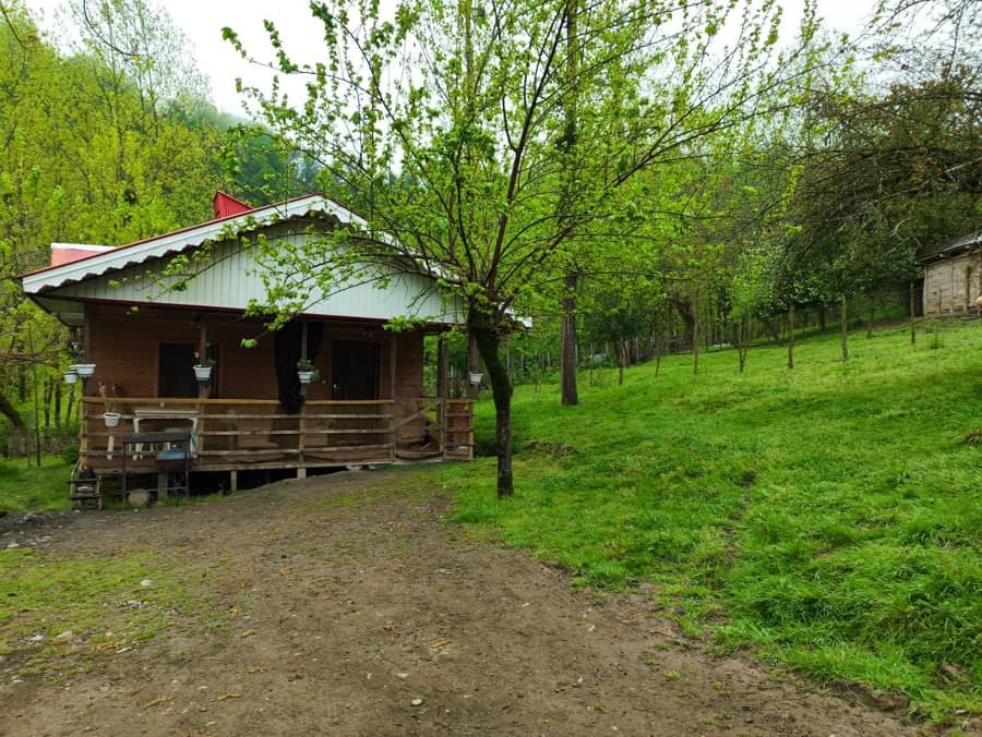 اجاره کلبه جنگلی در سیاه دول ماسال - آمادای