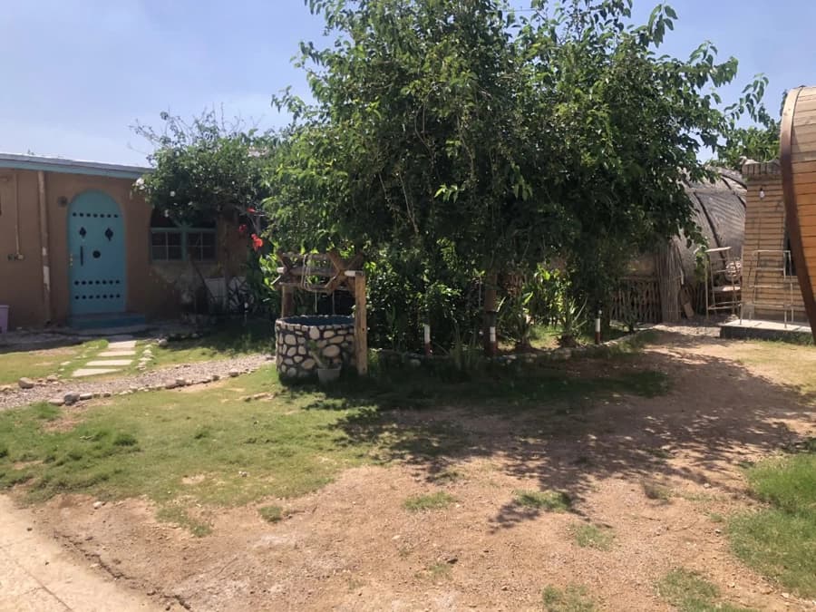 حیاط