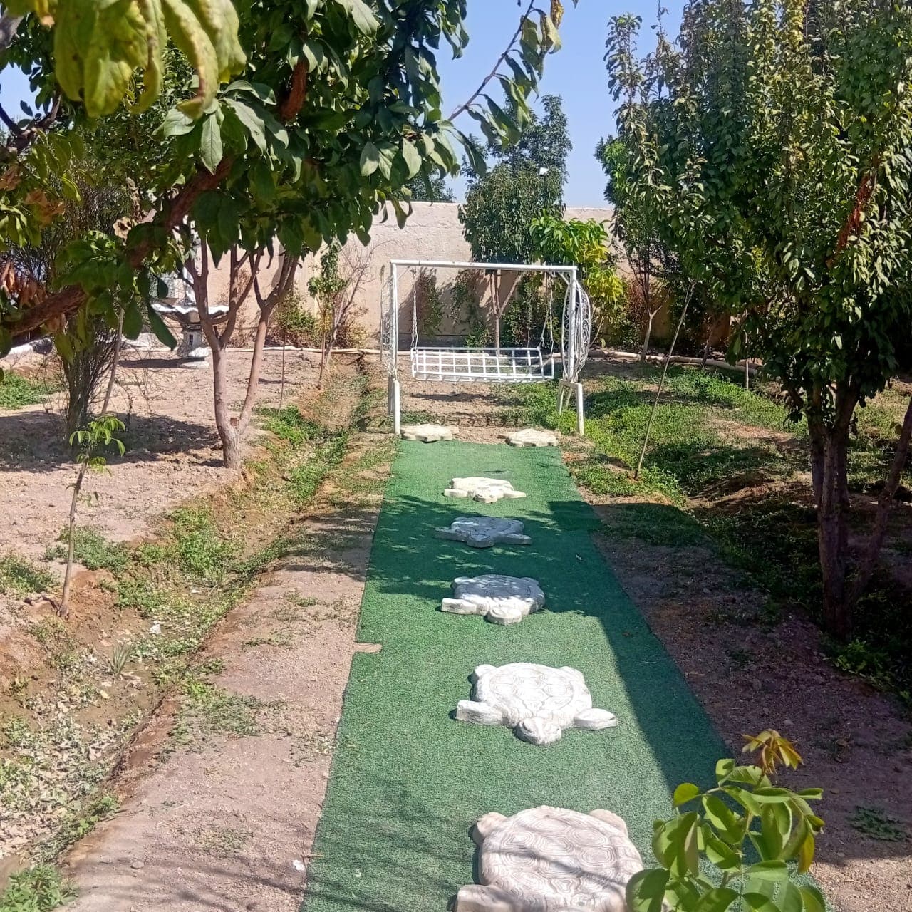 حیاط