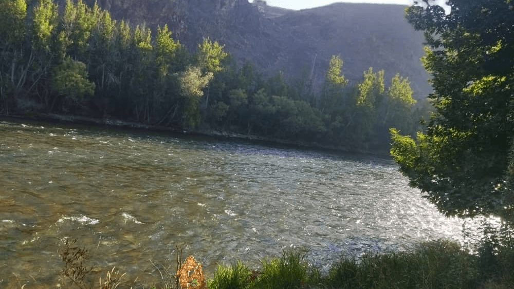 چشم انداز