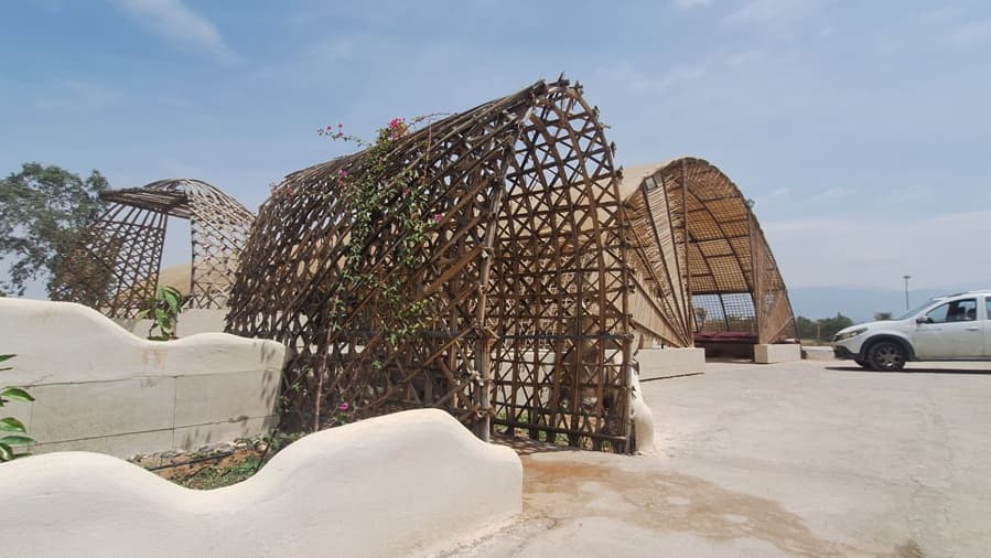حیاط