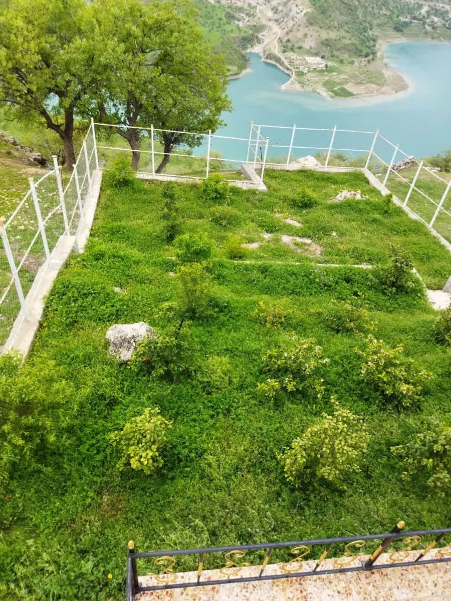 سبزی بلغ
