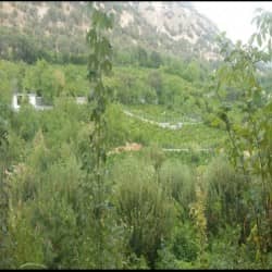 hostIntroImage-سیاوش محمدی