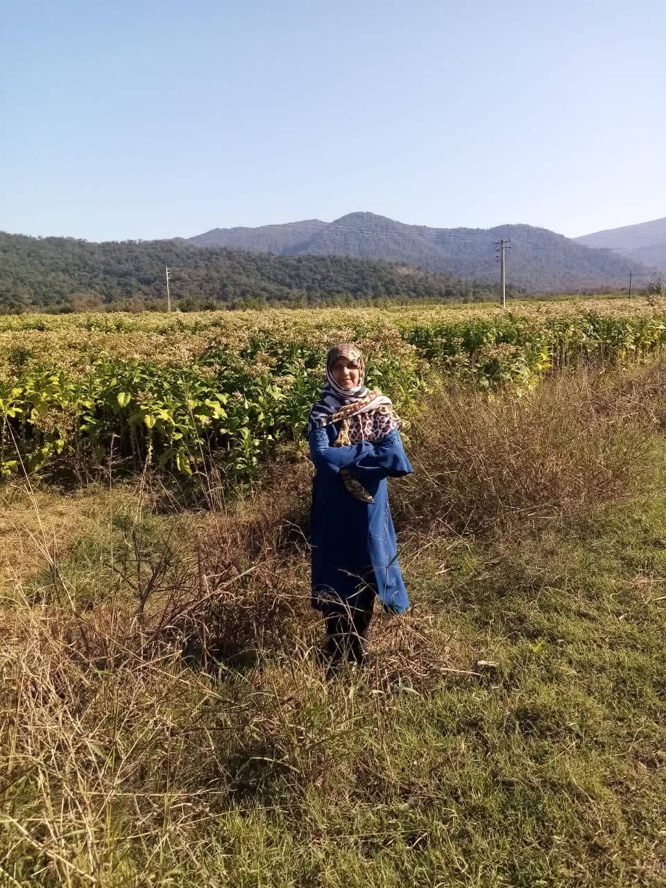 hostIntroImage-زهرا عرب