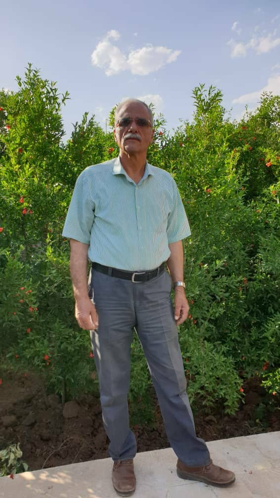 hostIntroImage-حامد امیری