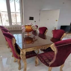 hostIntroImage-مرضیه نجفی