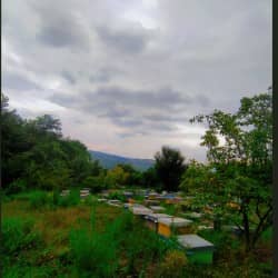 hostIntroImage-محدثه نصیری