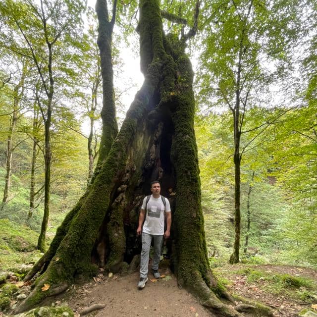 hostIntroImage-کرباسیان