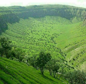 جنگل بلوط در کبیرکوه