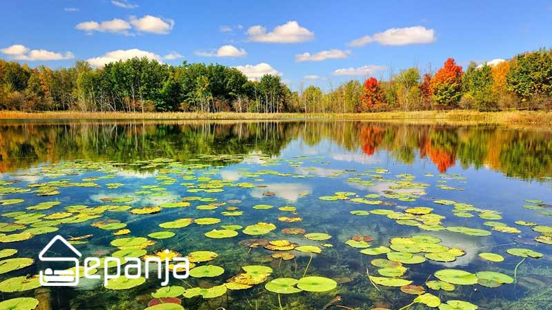 تالاب انزلی در استان گیلان
