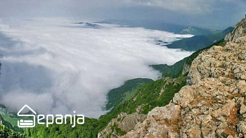 جنگل نقله بر در استان گیلان