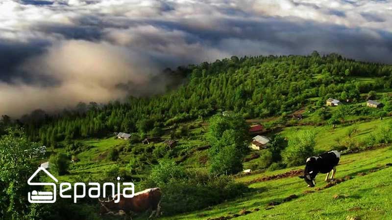 تالش در استان گیلان