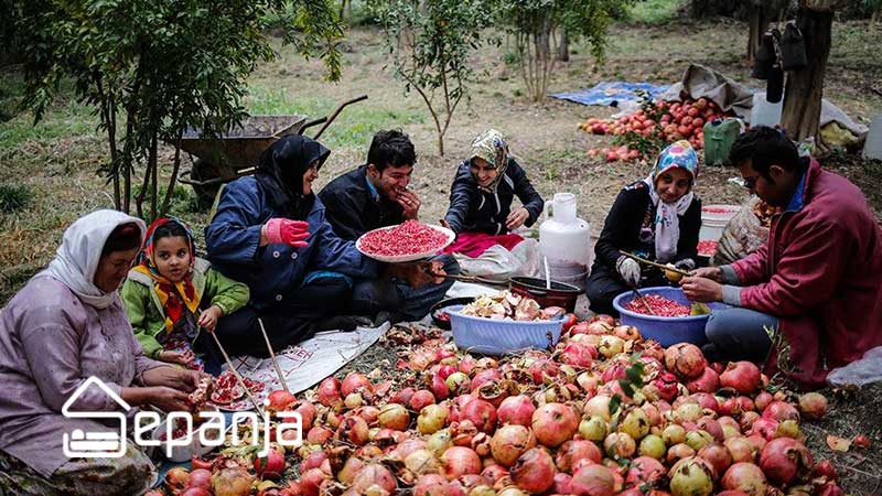 جشن انار در ایران؛ زمان، شهرها و آیینهای محلی | سپنجا 5 جشن انار ایرانیان