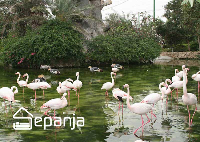 باغ پرندگان جزیره کیش