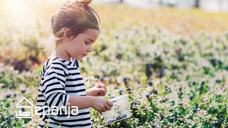عکاسی از کودک در سفر؛ ثبت خاطرات ماندگار | سپنجا 2 نکاتی برای عکاسی از کودک