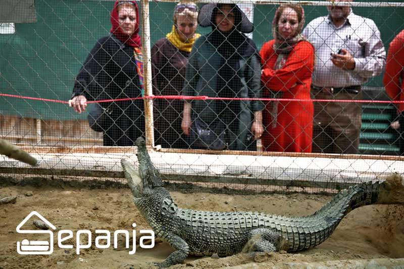 پارک کروکودیل در قشم