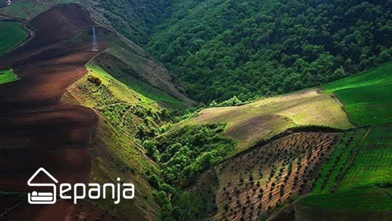 جنگل های هیرکانی ، الماس سبز شمال کشور را بشناسید 2 معرفی جنگل های هیرکانی
