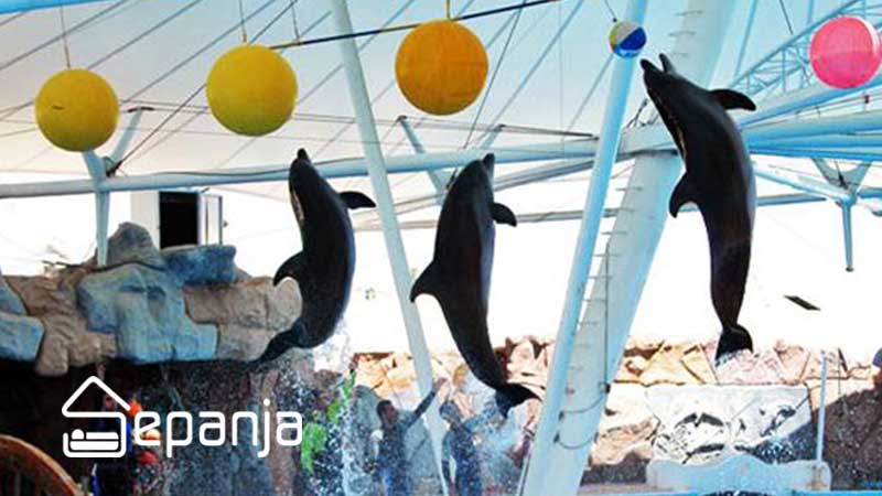 پارک دلفین کیش