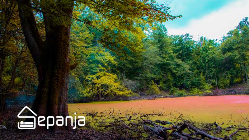 مرداب هسل چالوس؛ جاذبهای رنگارنگ در تمام فصلها | سپنجا 2 مسیر دسترسی به مرداب هسل