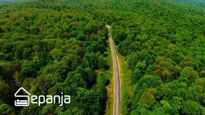 جنگل های هیرکانی ، الماس سبز شمال کشور را بشناسید 3 جنگل های هیرکانی کجاست