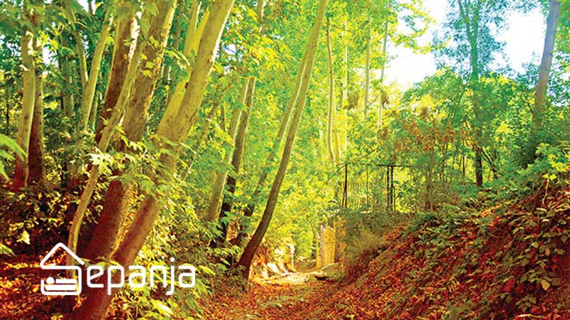 جاهای دیدنی شاندیز مشهد؛ طبیعت تا تفریحات خانوادگی | سپنجا 3 طبیعت روستای ابرده شاندیز